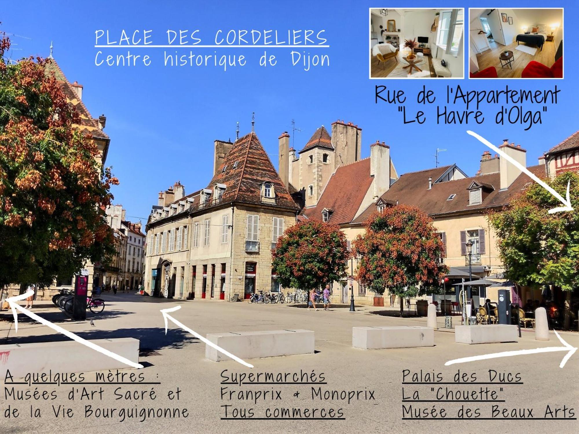 Le Havre D'olga - Homillesime Appartement Dijon